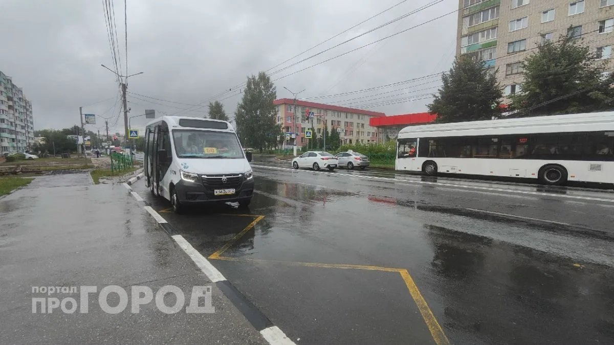 Жителям Новочебоксарска завтра придется побороться за урожай. 7 сентября в регионе обещ...