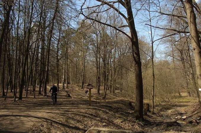 🌳 Тимирязевский парк