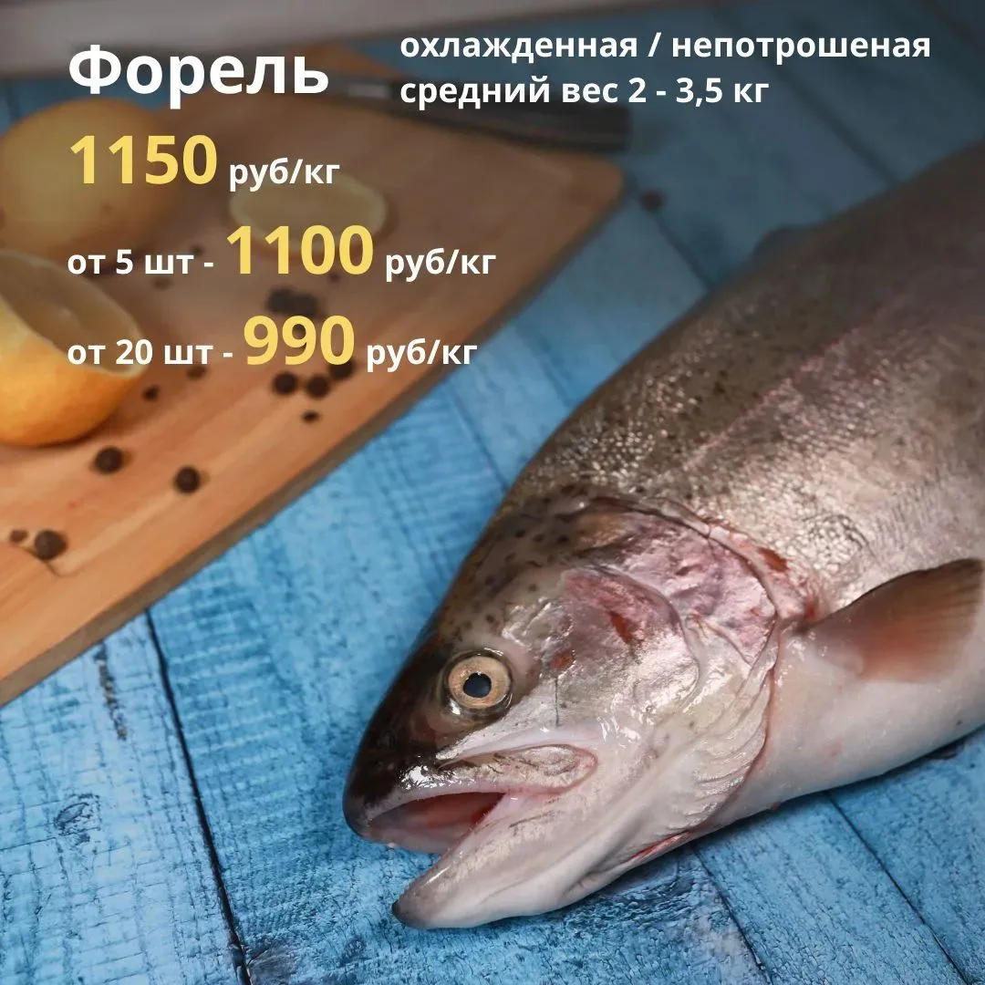 ЗАКАЗ НА 29-30 ИЮЛЯ СФОРМИРОВАН 🐟