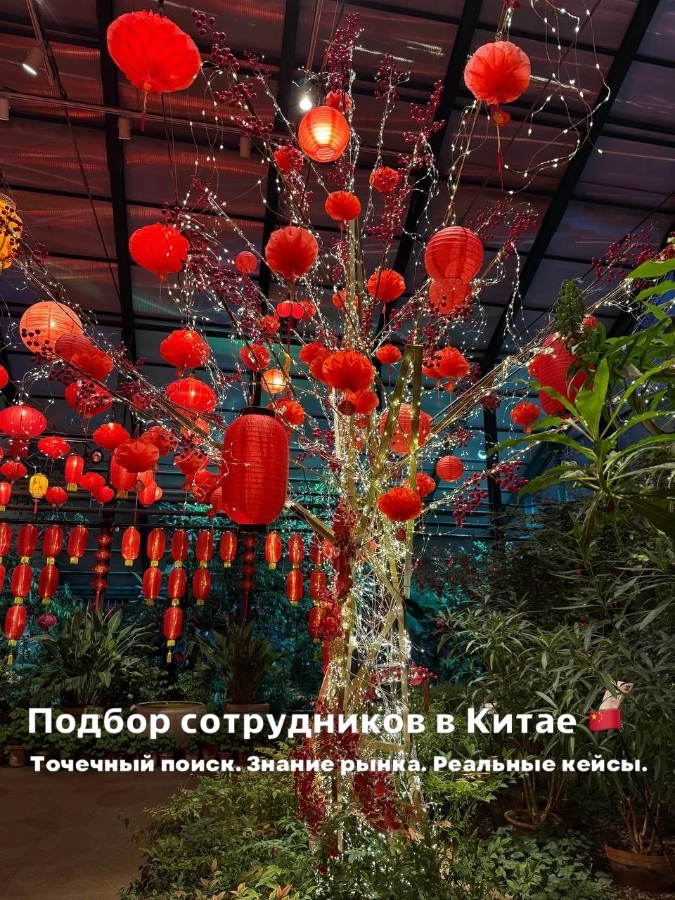 Думала-думала, и передумала запускать фонарики 🏮