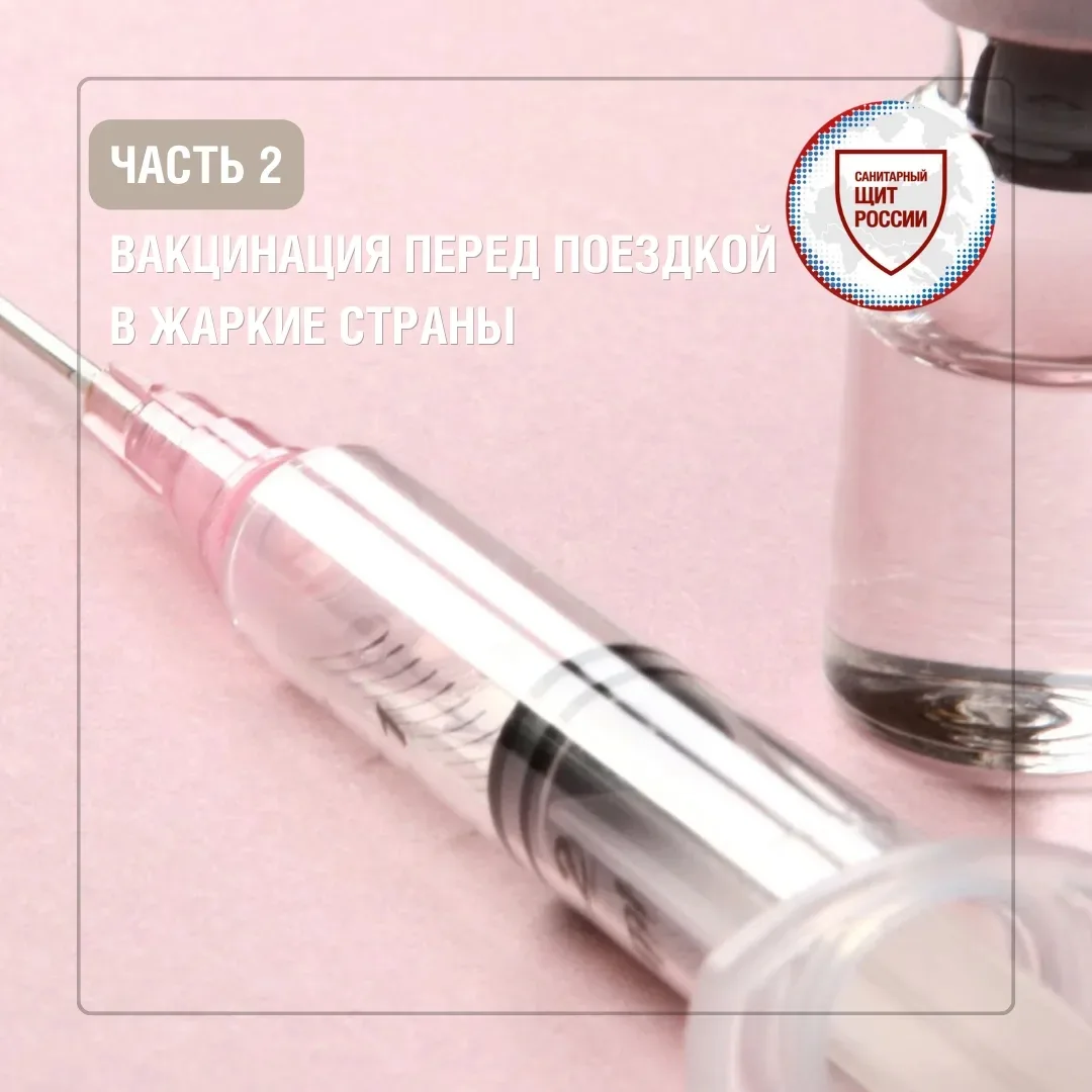 Сегодня разберемся, зачем нужна вакцинация перед путешествиями.

Что важно учитывать перед поездкой: