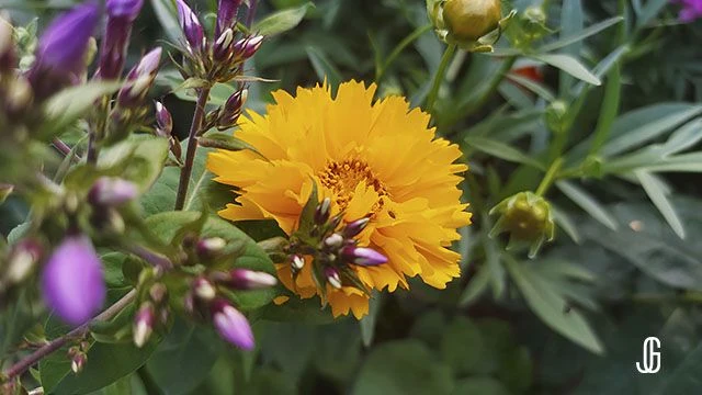 🌺28 июля — Кирик и Улита. Народный календарь

Народные приметы 28 июля.
Народные поверья 28 июля.

