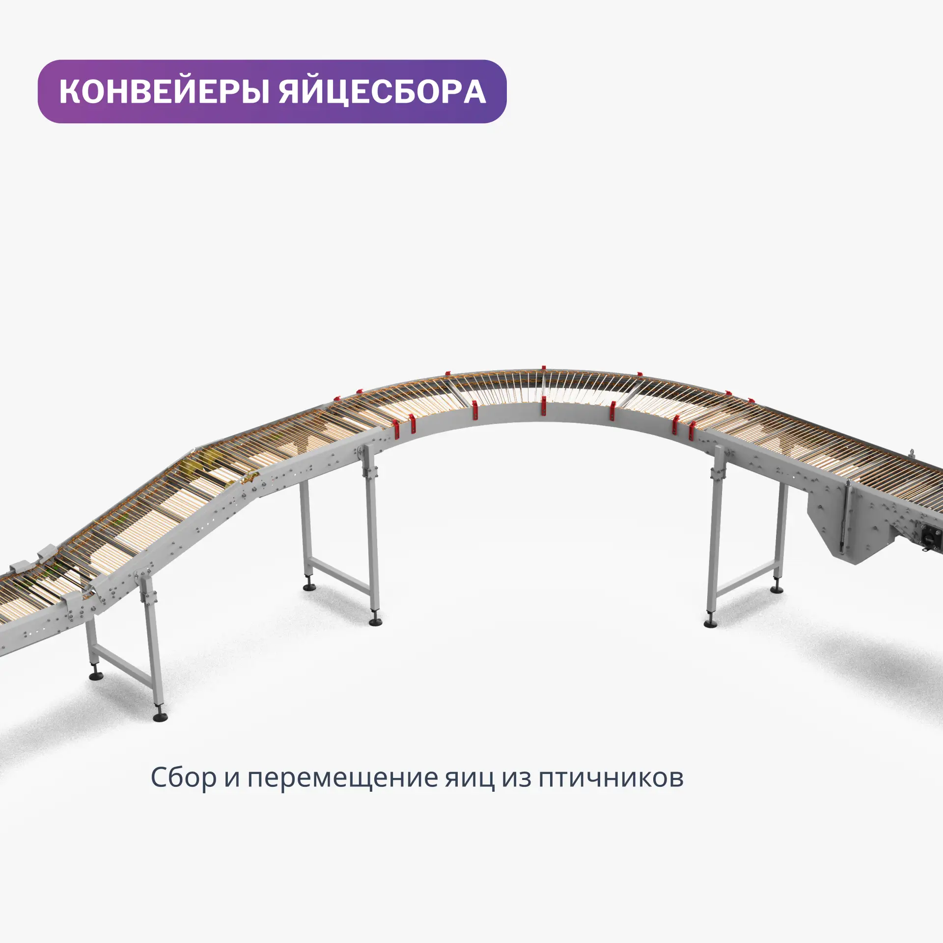 От птичника до яйцесклада