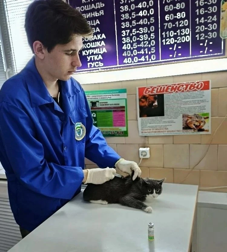 Есть такой мультфильм - " Кошка, которая гуляла сама по себе"🐈🐈‍⬛Действительно, кошки...