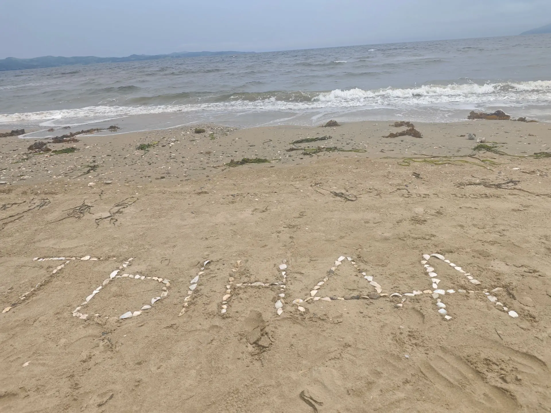 Коса Назимова 30.07.2026

Фото от нашего подписчика Владислава
