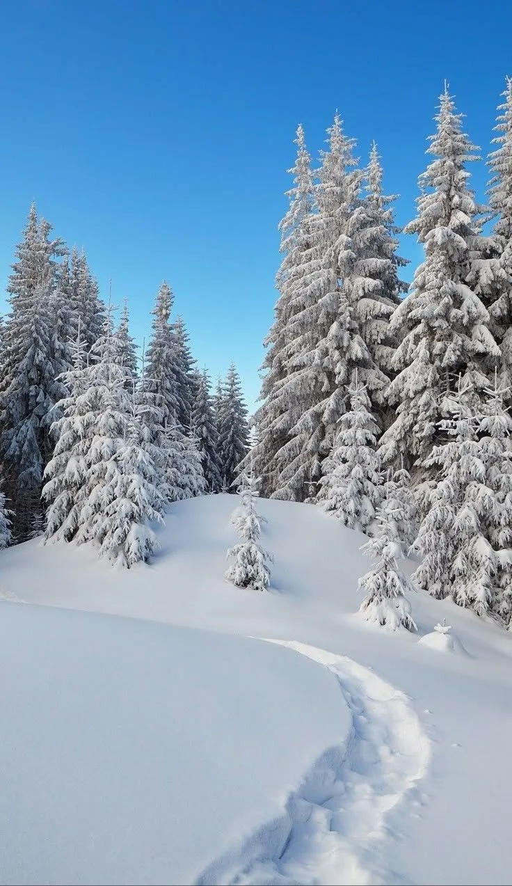Доброе утро❄