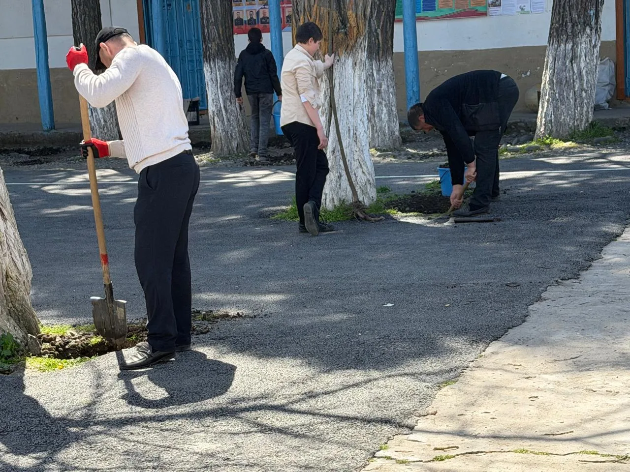 В МКОУ «Капирказмалярская СОШ» прошла международная акция «Сад памяти». Обучающиеся и у...