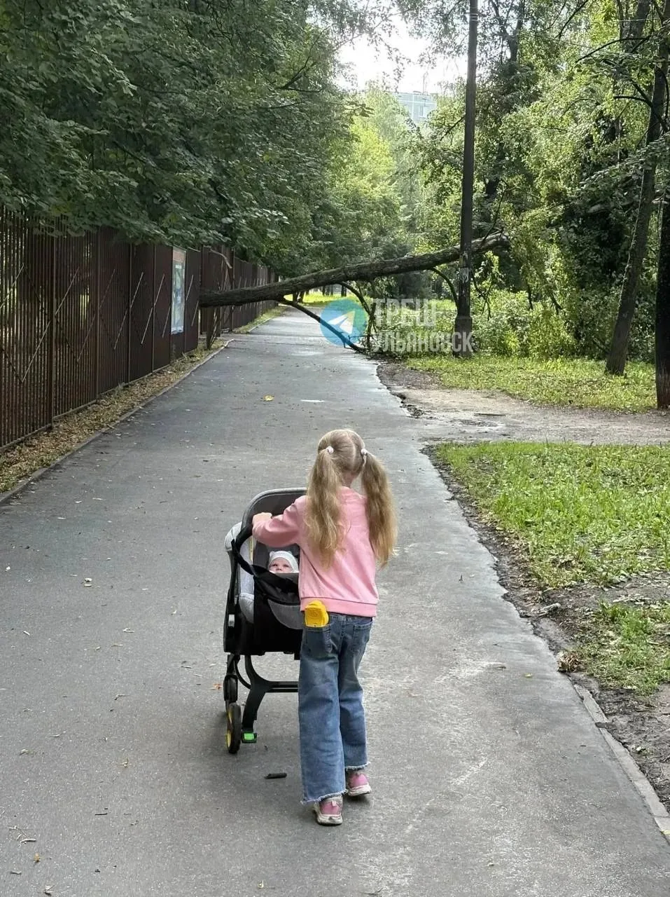 Дерево упало у 47-ой школы из-за непогоды