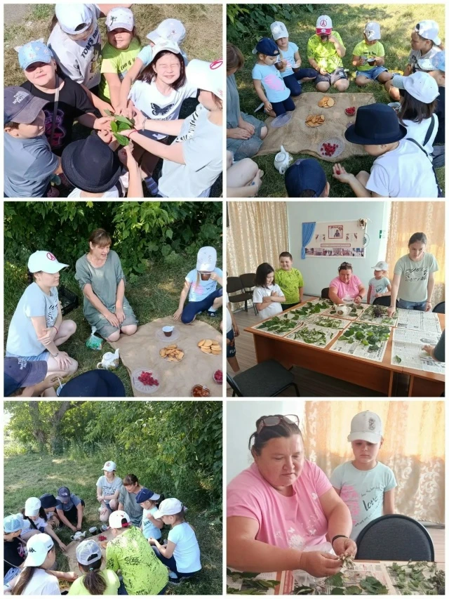 🌿 В Кассельской Павленковской модельной библиотеке прошла увлекательная фитолаборатория «Ботаник+» 