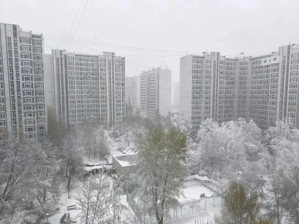 С Новым Годом всех! Полный джингл белс!  Мощный балтийский циклон лютует в Москве и Подмосковье. Ожи