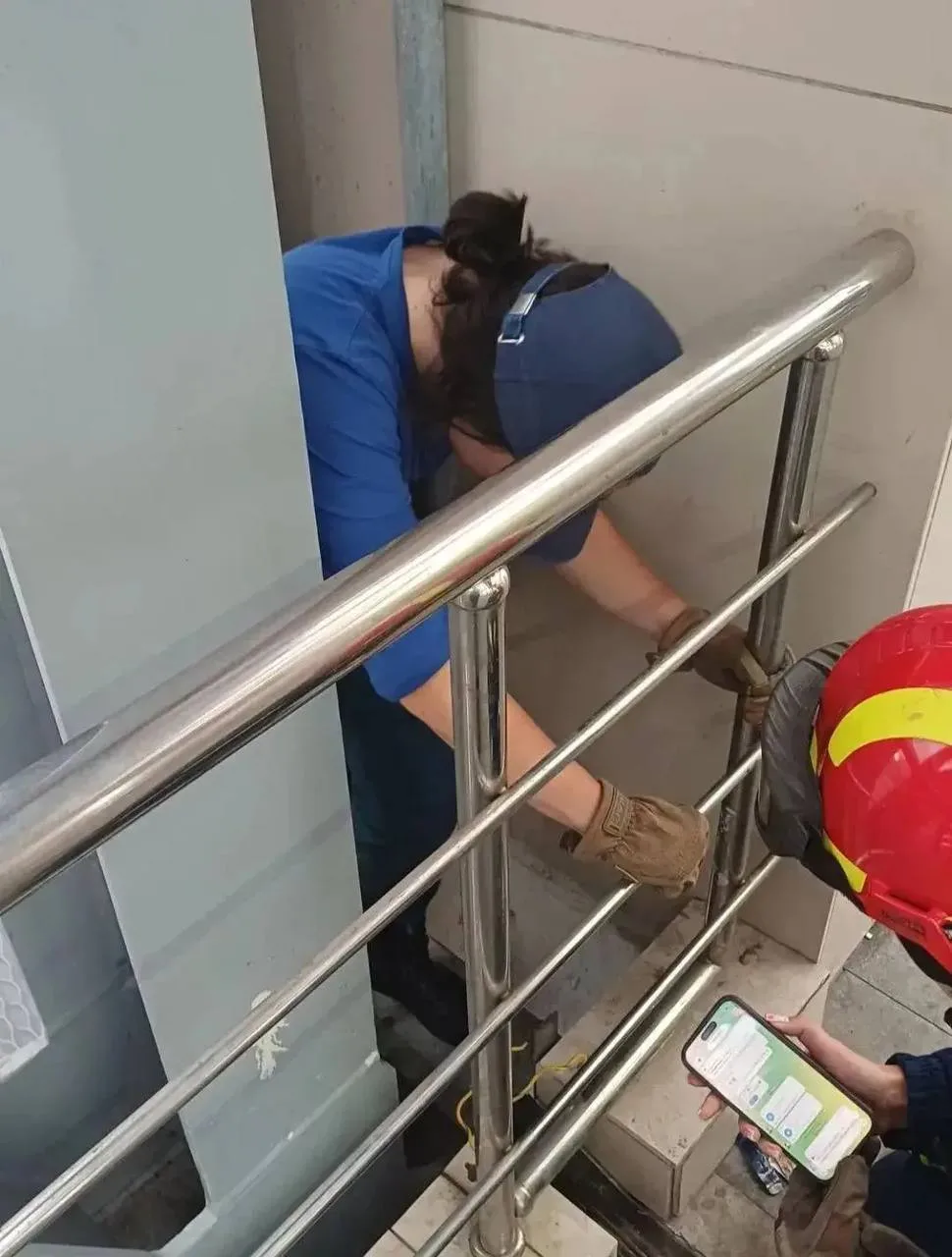 Котенок попал в неприятность на мосту