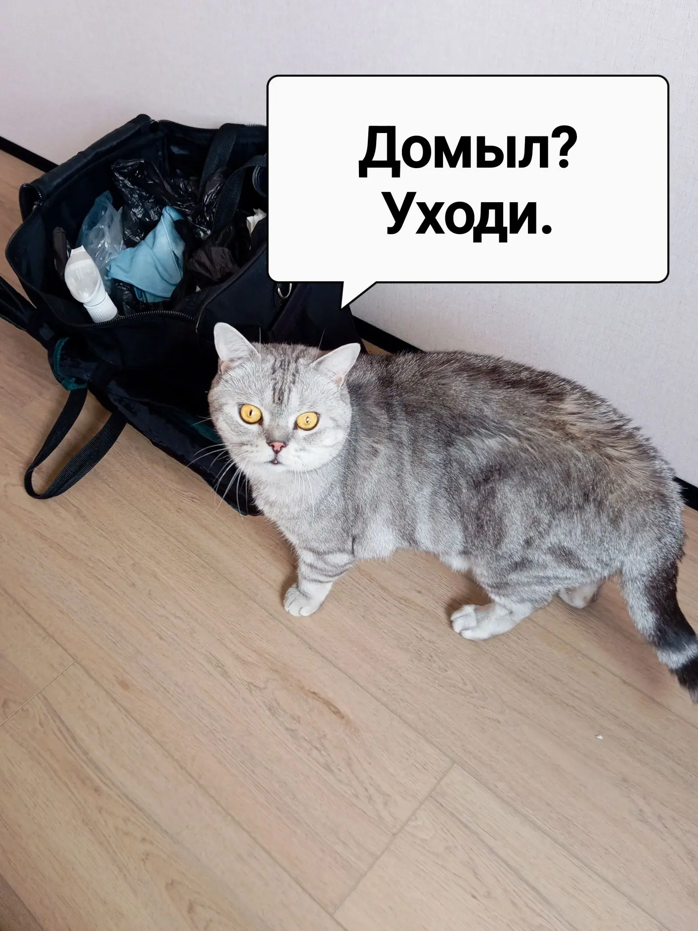 Добрый день! Немного сегодняшнего дня 🙃