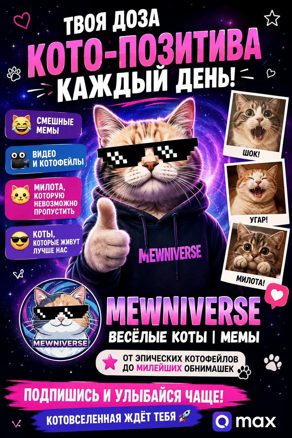 🐱 ТЫ УЖЕ ВИДЕЛ, ЧТО ТВОРЯТ ЭТИ КОТЫ?!