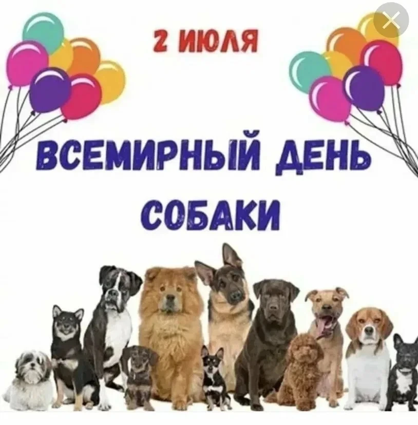 Сегодня в группе «Звездочки»прошло познавательное и очень доброе занятие, посвященное В...
