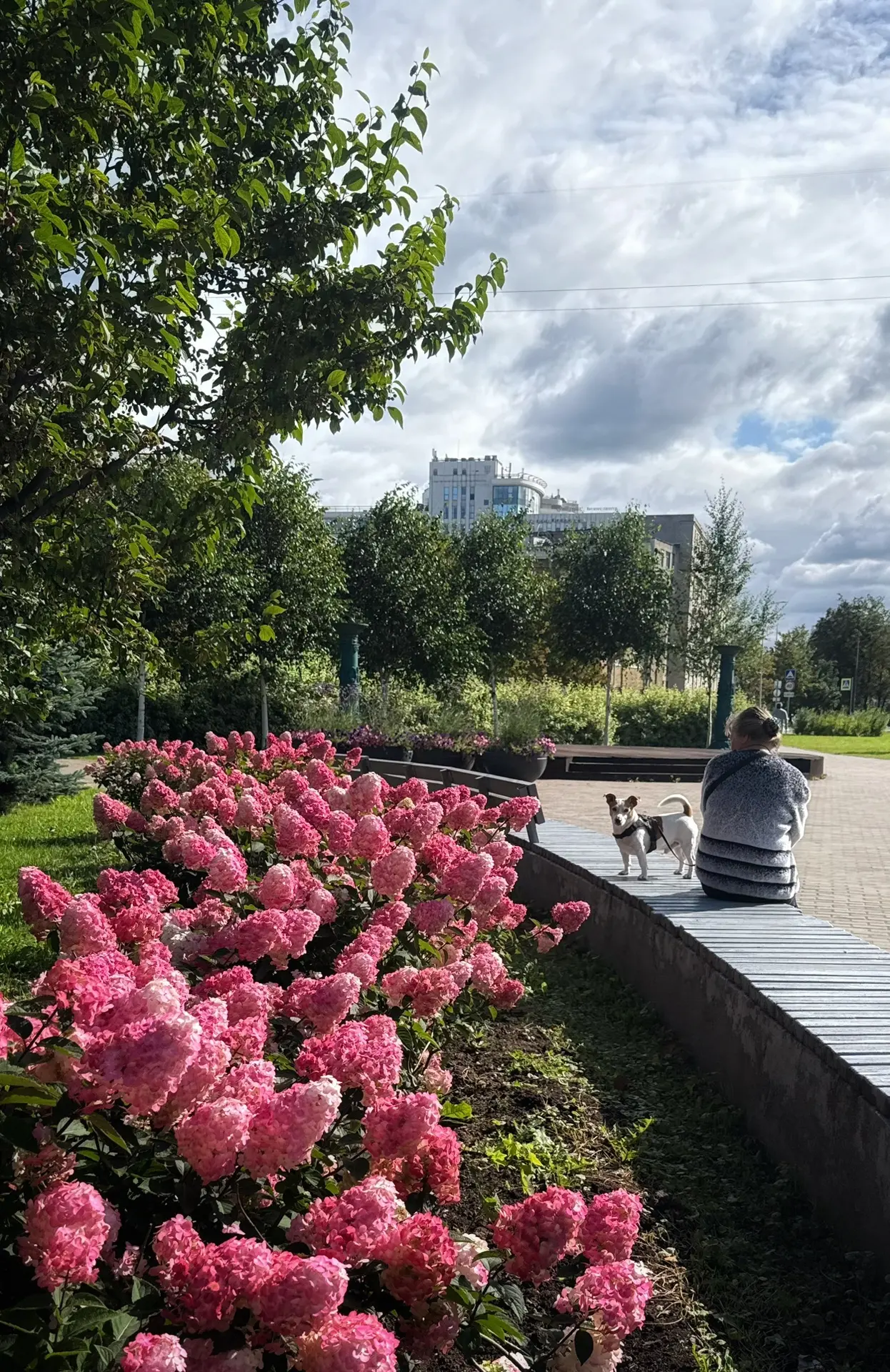 🌺  В каждом зелёном сквере или бульваре есть свои акцентные точки. В Рощинском саду пр...