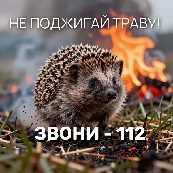 🔥 Внимание, жители Можайского округа!  Установилась теплая сухая погода. Главная угроза прямо сейчас