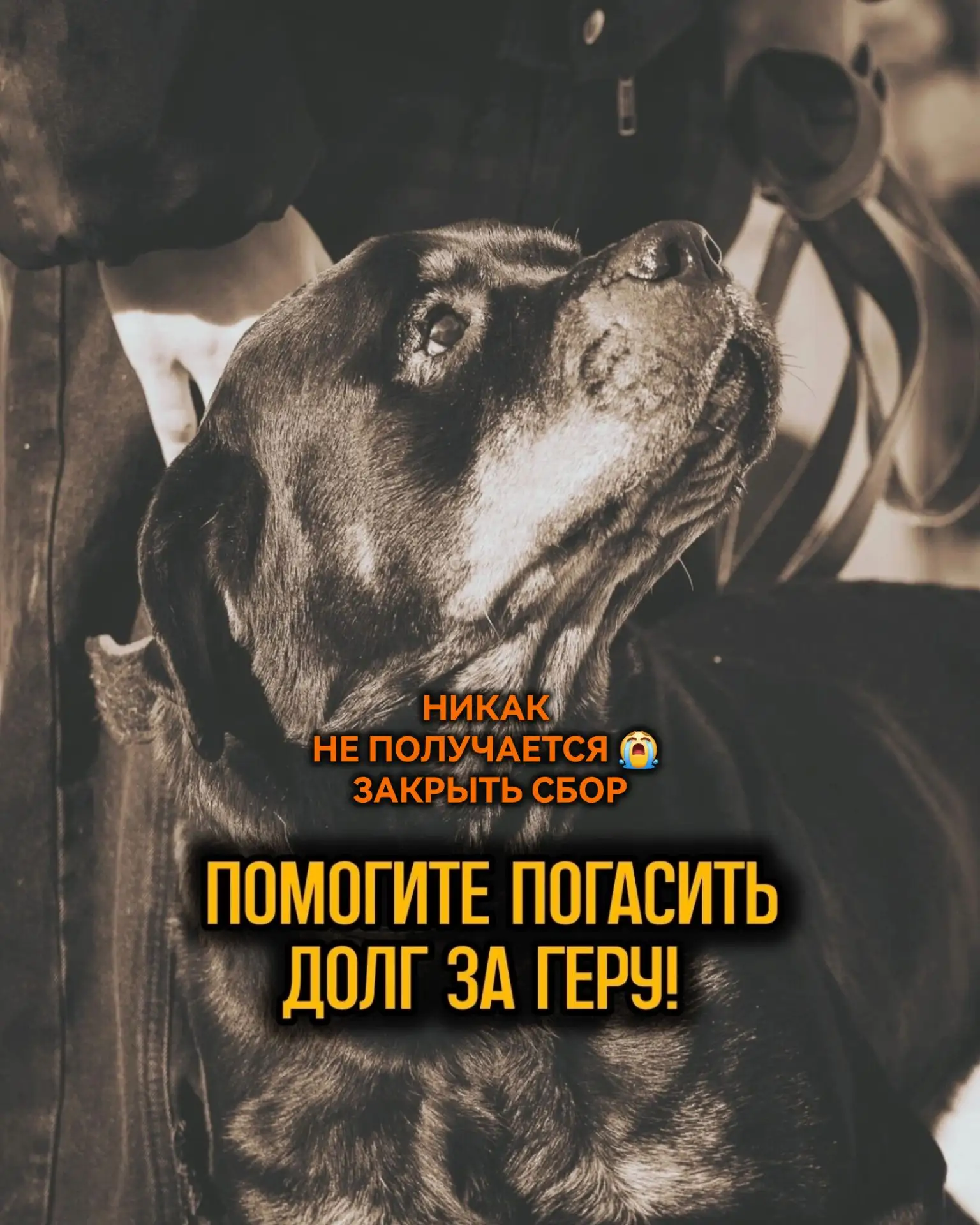 Друзья, помогите закрыть долг за Геру пожалуйста🙏