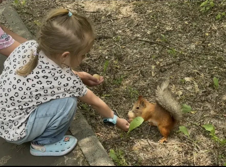 Вот оно какое наше лето: 🌞
Лето яркой зеленью одето, 🍃
Лето жарким солнышком согрето, 🔥
Дышит лет