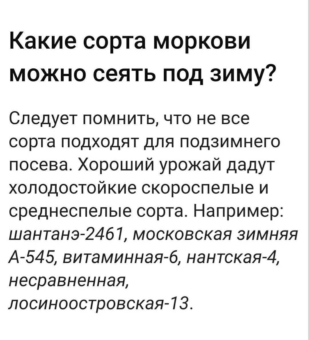 Подзимний посев моркови 🥕