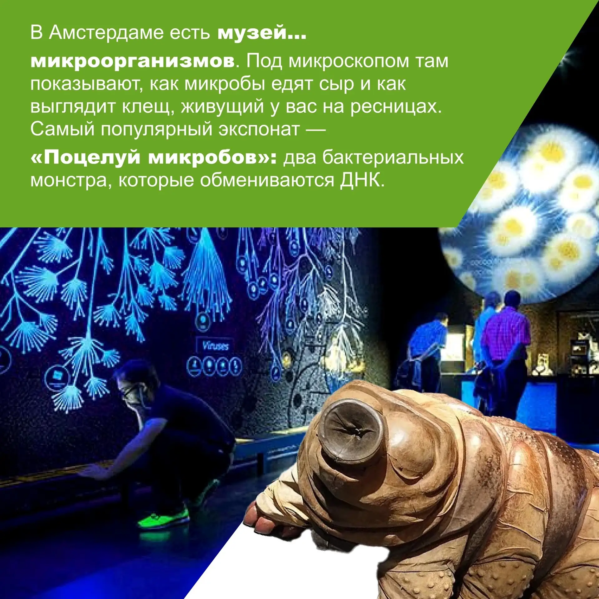 18 мая - Международный день музеев