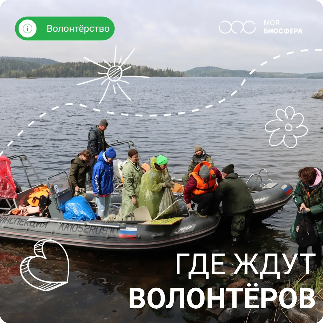 😉 Хотите уехать туда, где вместо будильника – крик чаек, а вместо дорожных пробок – гл...