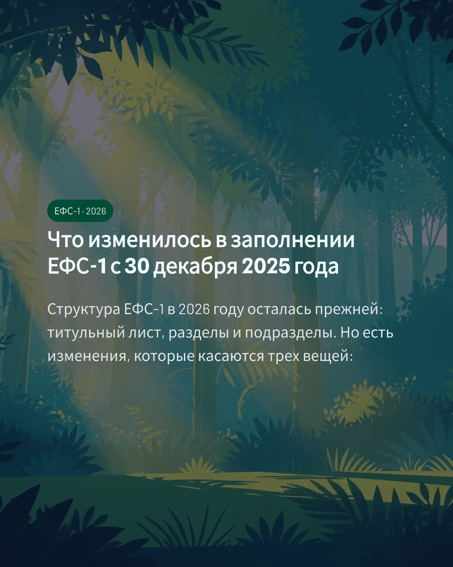 Что изменилось в заполнении ЕФС-1 с 30 декабря 2025 года