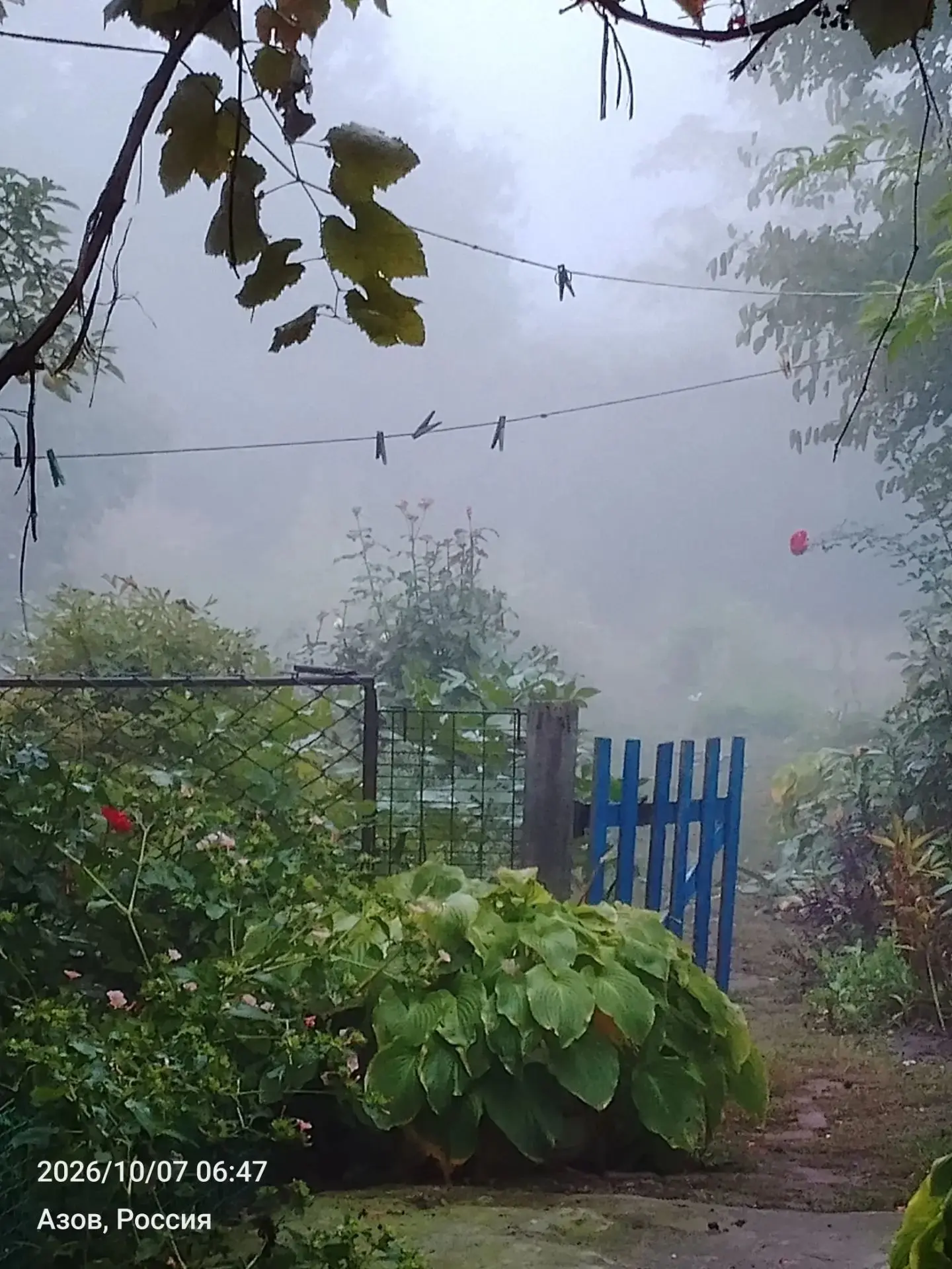 Как вам утренний туман  🌫 сегодня?) 🤗🥰