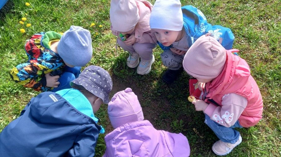 Воспитанники первой младшей группы «Калинка» встретили на прогулке дождевого червя. Это...