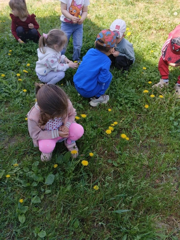 День одуванчика во второй младшей группе🌼