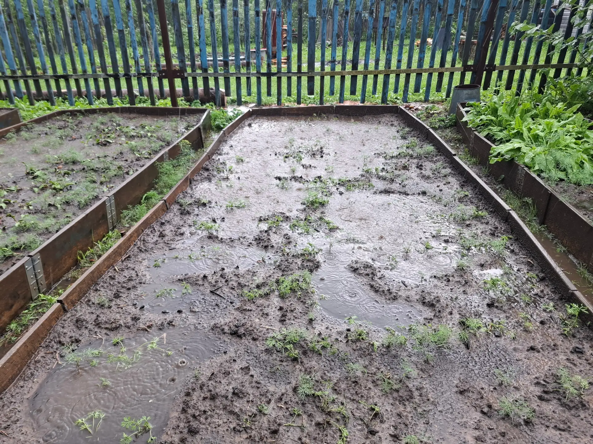 ☔ Жаркая погода в центральной части России окончательно отступила. Впереди как минимум неделя дождей