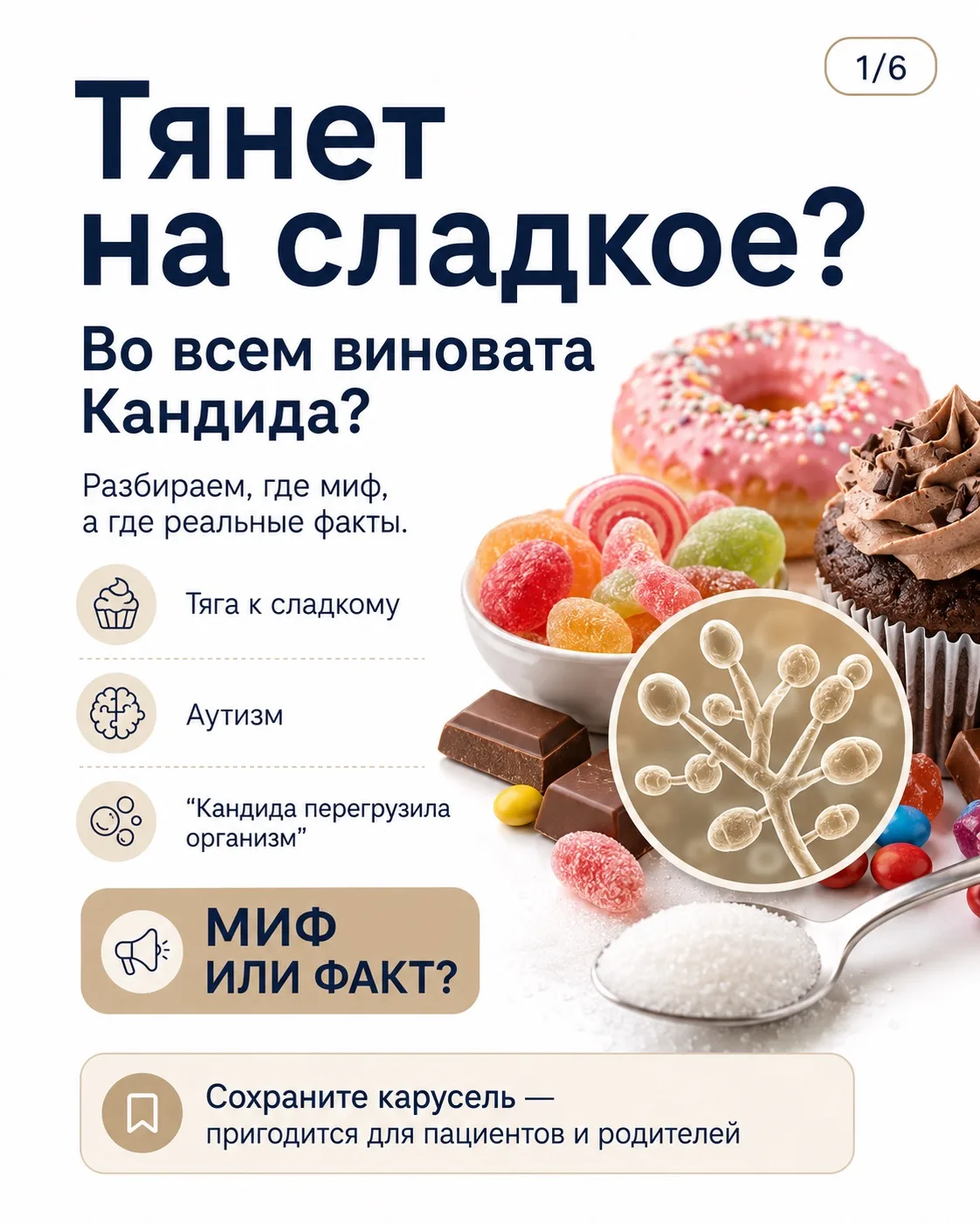 Кандида! Ну все…нашли причину всех проблем, так ли это?!