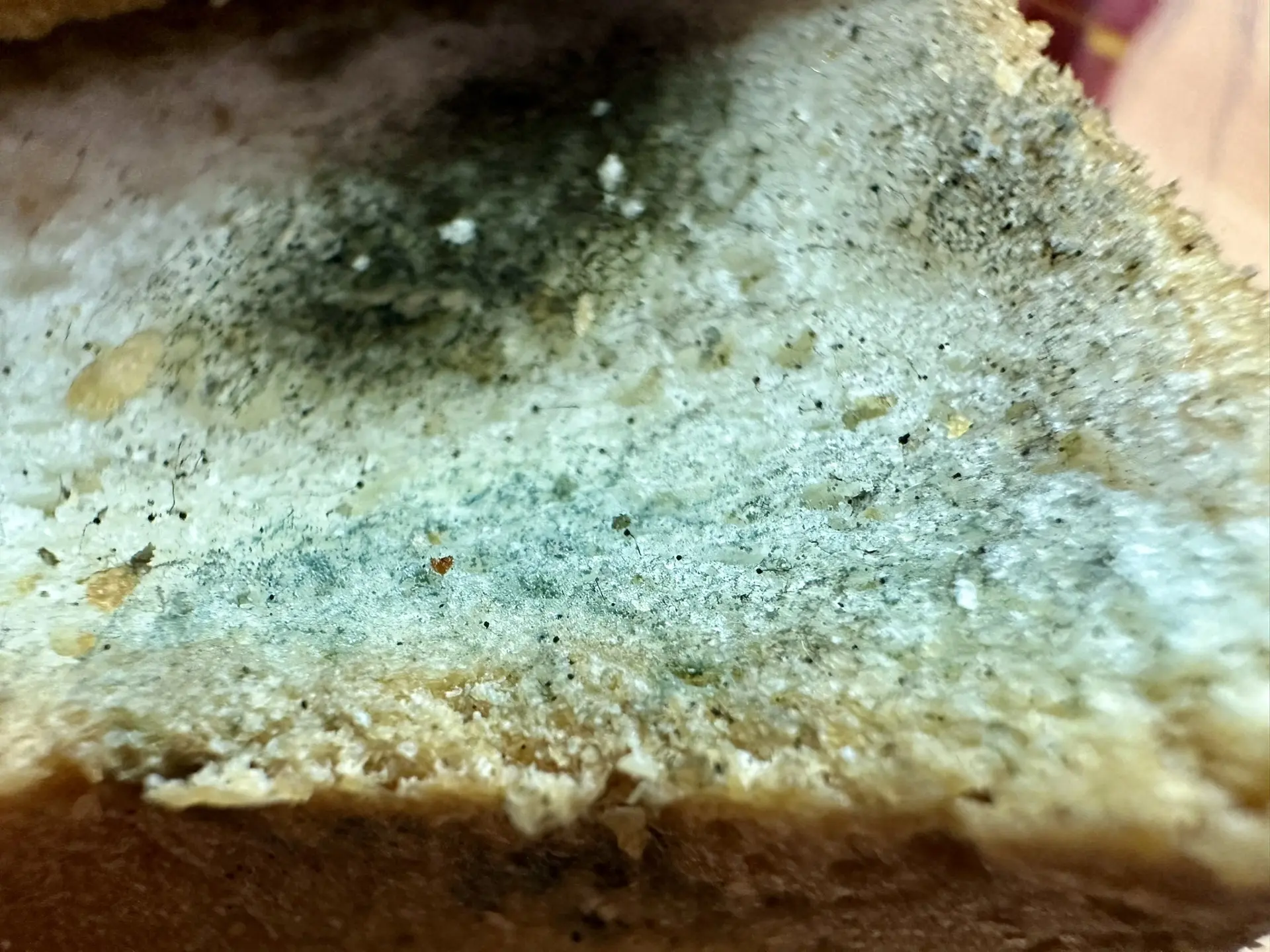Можно ли убрать плесень с продукта и продолжать его есть