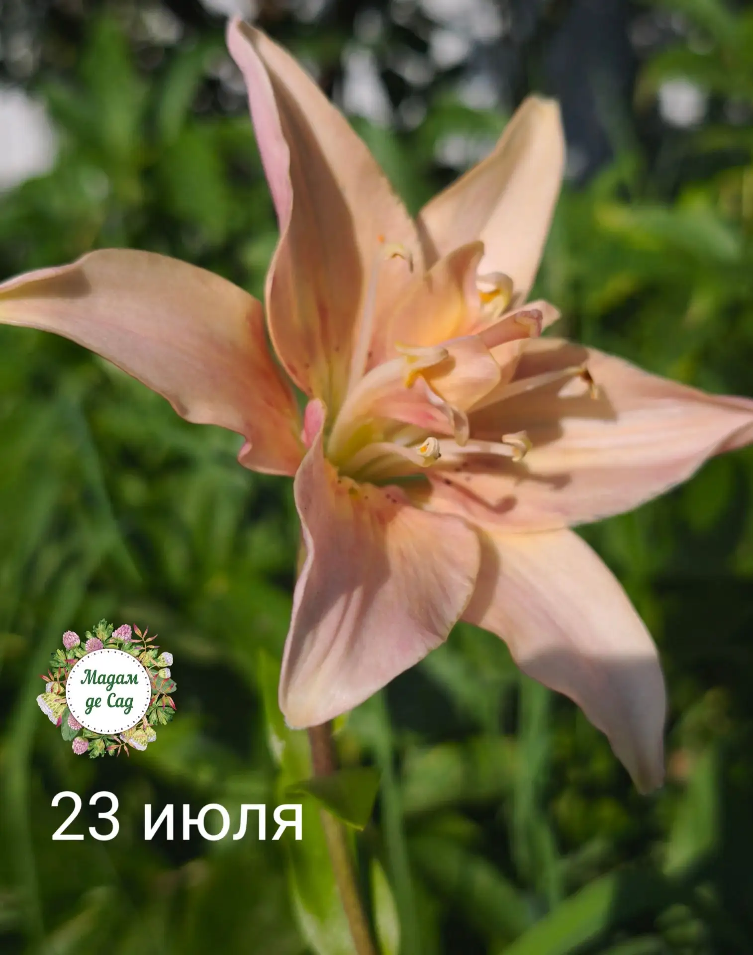 ☀️ Доброе утро!