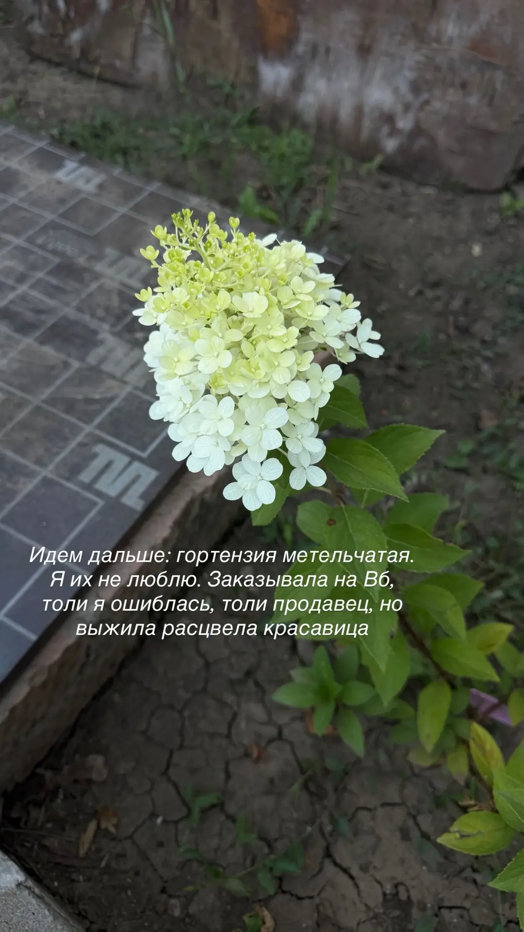 А между тем почти пол лета прошло.