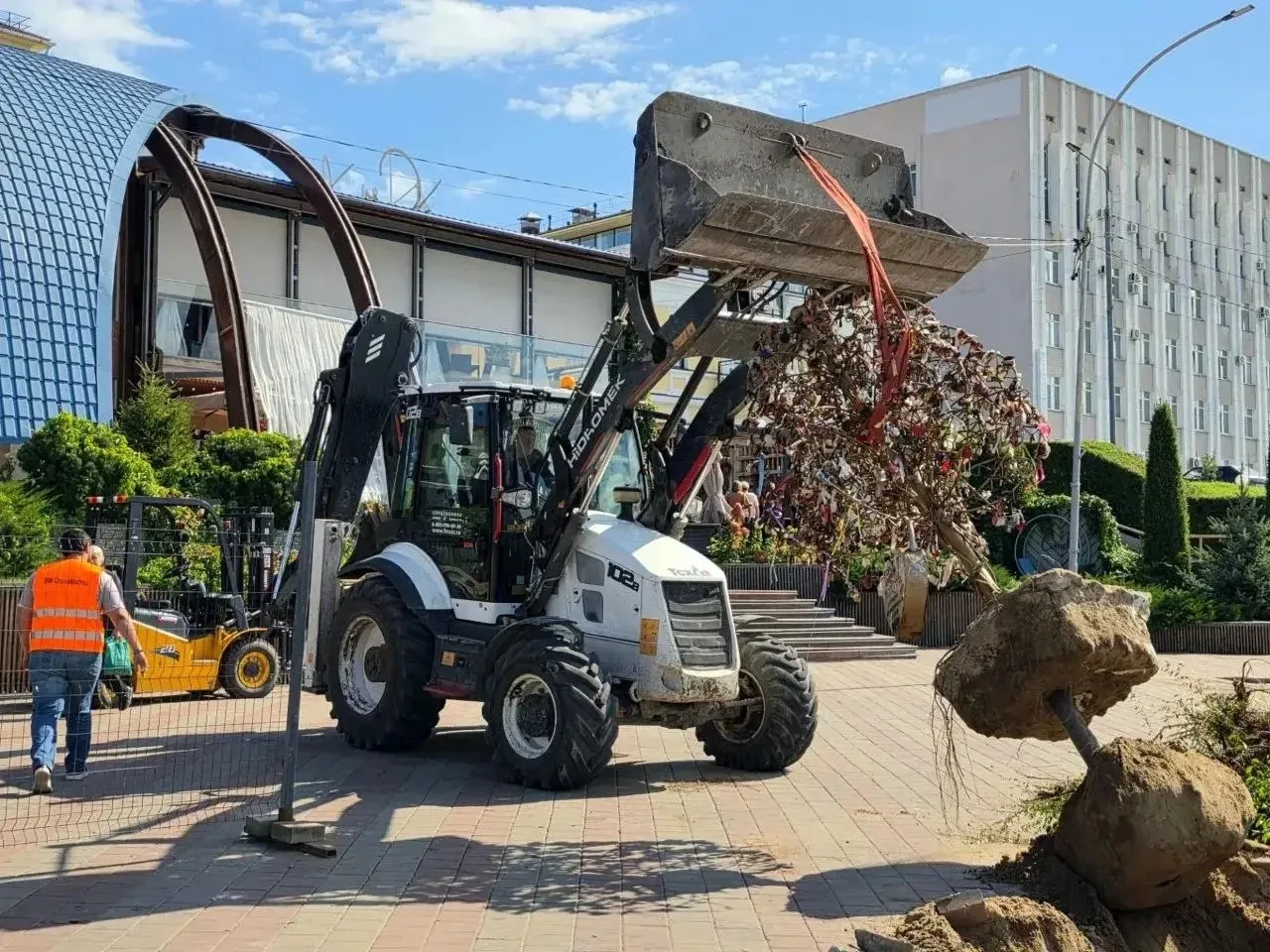 🌳 В Омске демонтировали Дерево любви