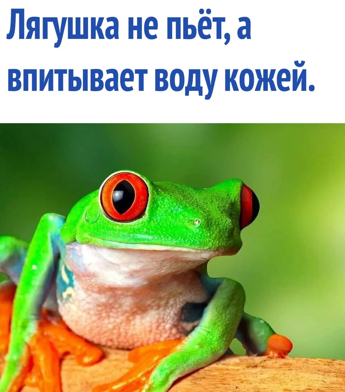 интересные факты / тайны / загадки / наука