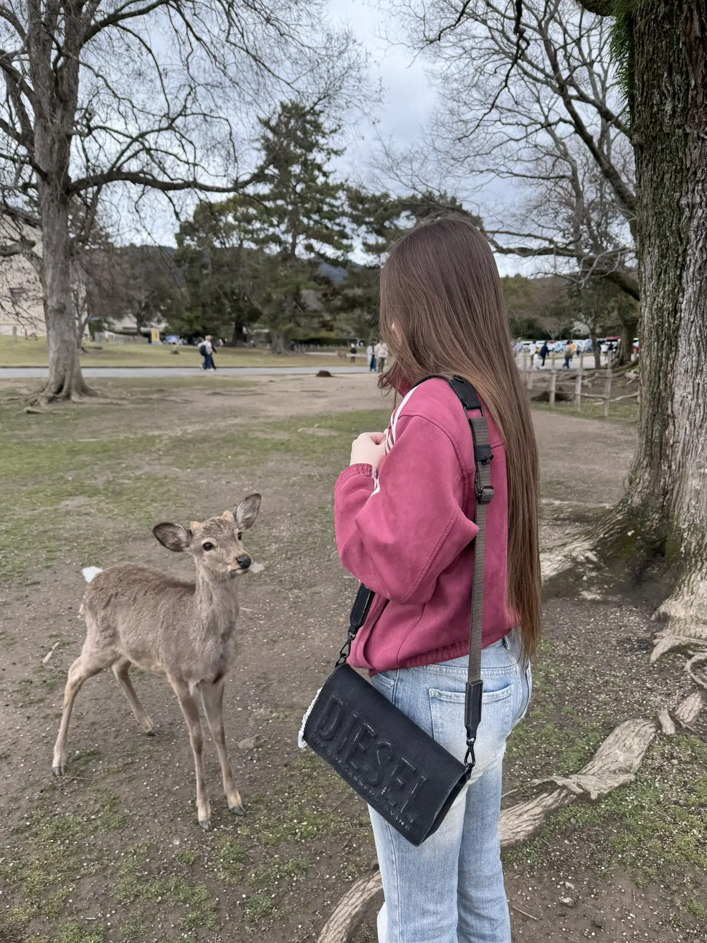 Нара 🦌