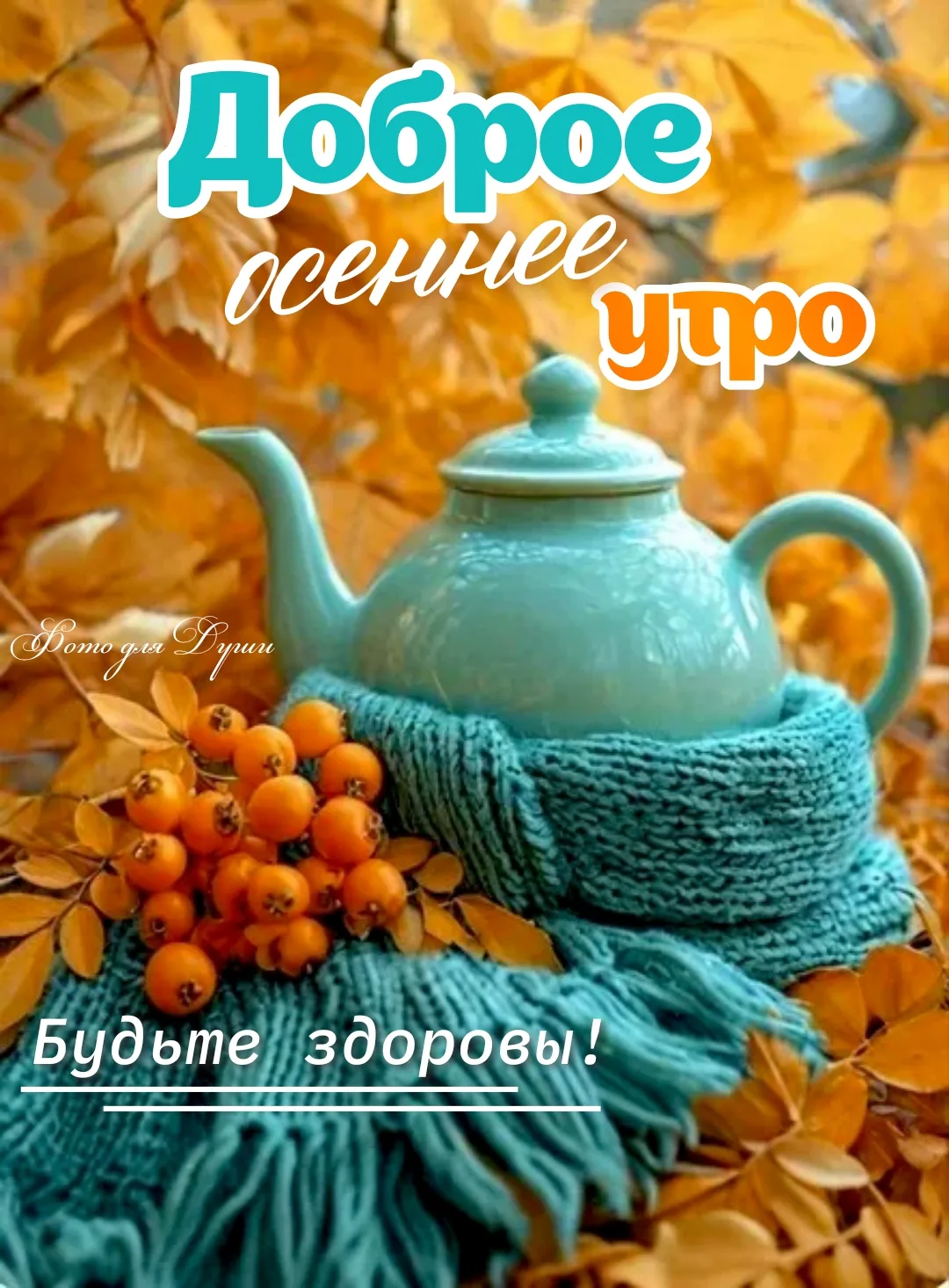ДОБРОЕ  ОСЕННЕЕ УТРО!!