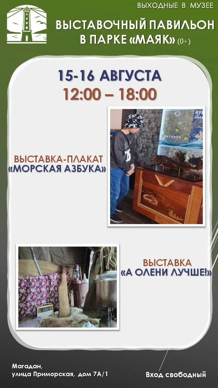⚡В субботу и воскресенье, 15 и 16 августа, с 12 до 18 часов работает выставочный павиль...