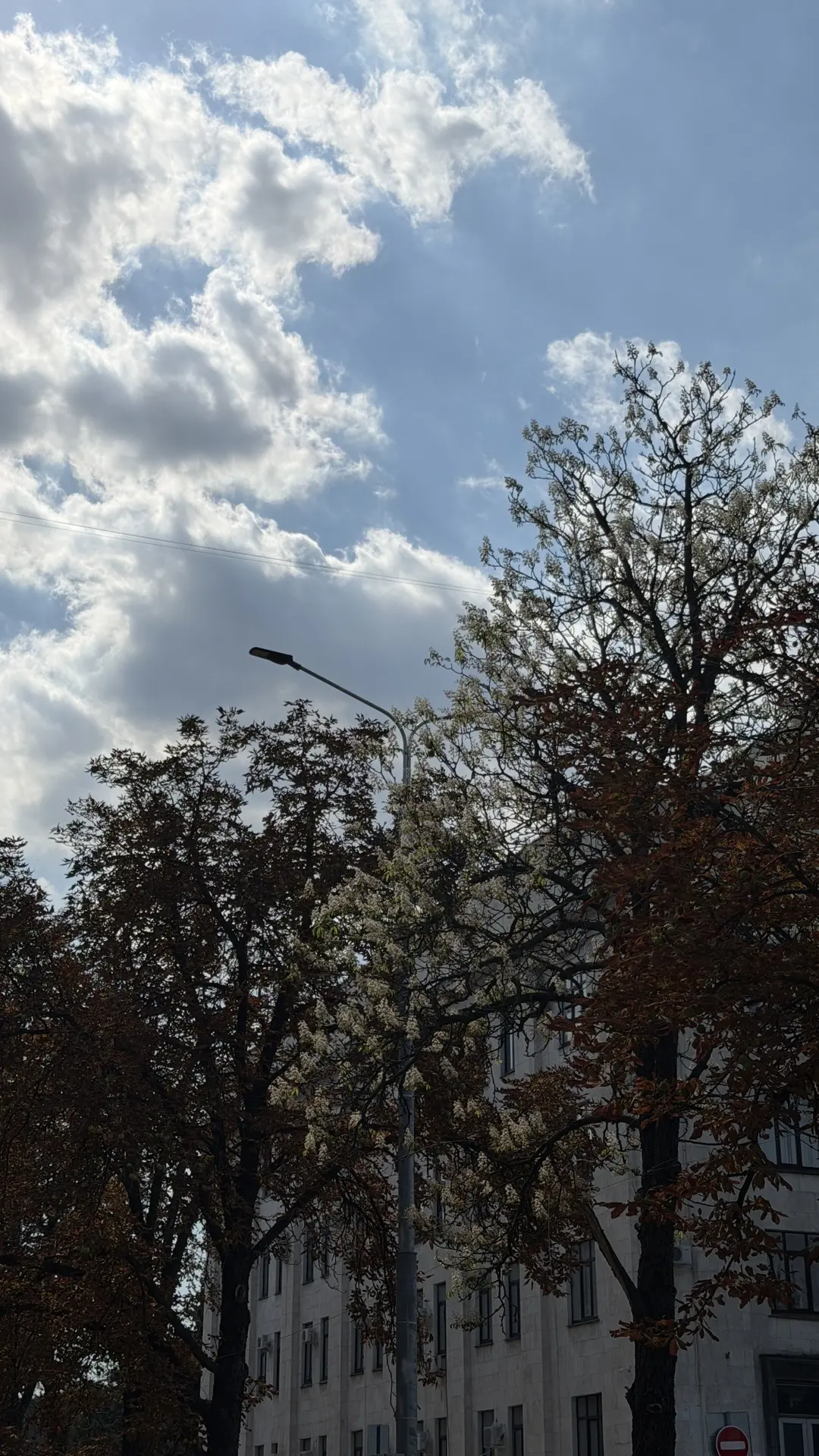 Кажется сентябрь немного забыл, что он осень 🍁