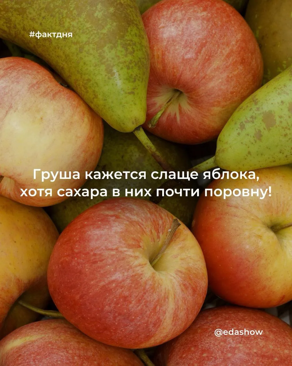 В яблоках содержится около 10–11 г сахаров на 100 г мякоти, в грушах — примерно 9–10 г....
