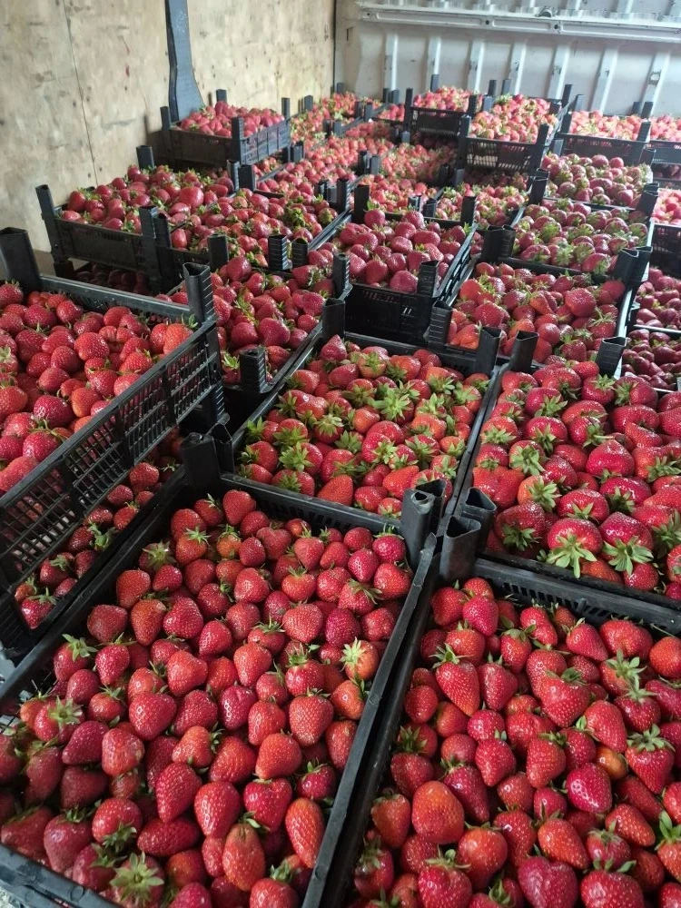 Доброе утро 🍓