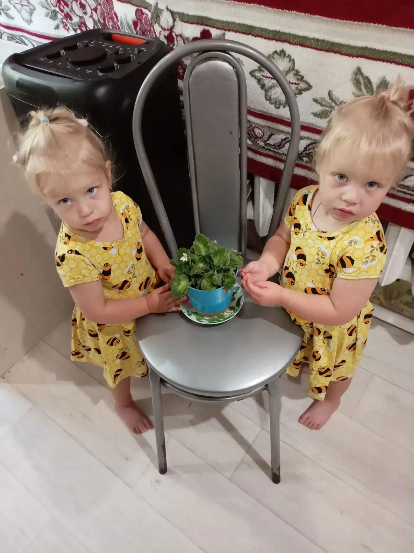 👦НОВОСТИ ДОШКОЛЬНОГО ОБРАЗОВАНИЯ👧