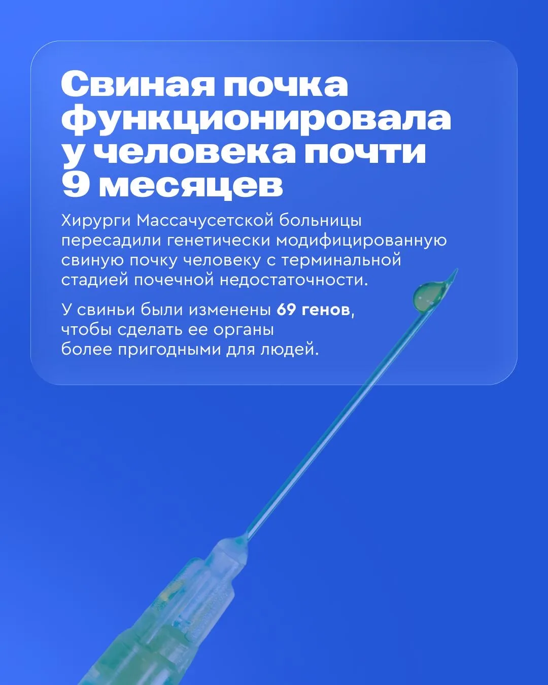Это прорыв: новости из мира биомедицины ⚡  Газпромбанк как технологический лидер принимает активное 