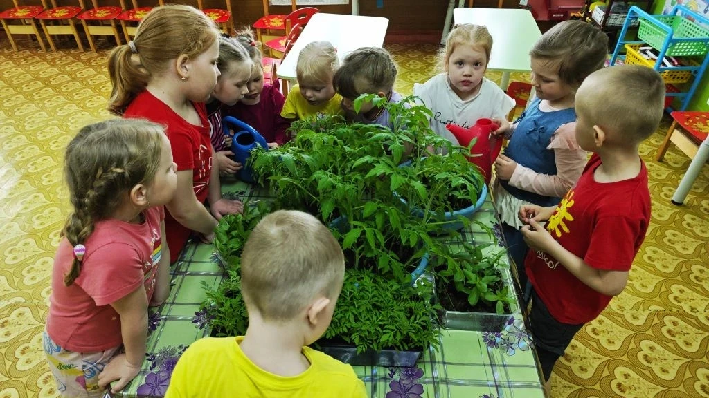 Мы сажаем огород.🥦🥕Посмотрите ,что растет!