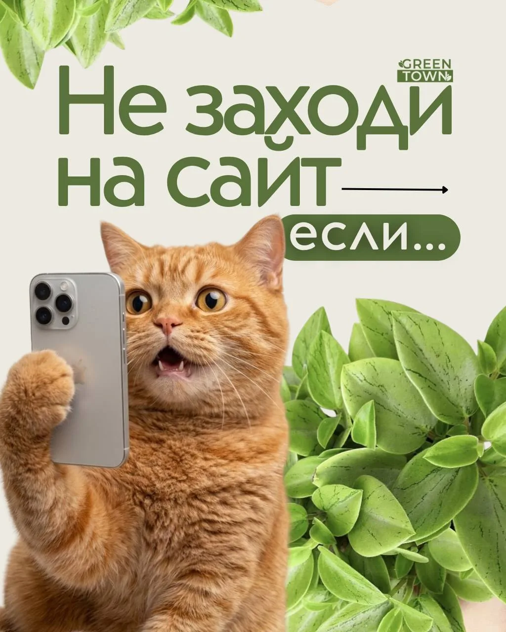 📲 Greentown.online — место, где начинаются ваши зелёные истории! 🌱💚