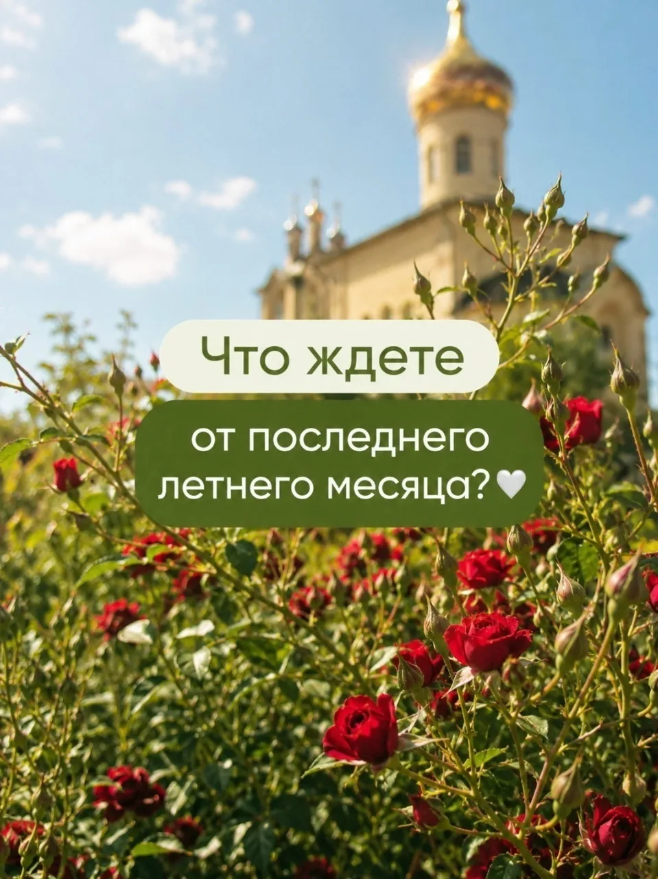 ☀ Август в «Гармонии»: чего ждём от последнего летнего месяца?