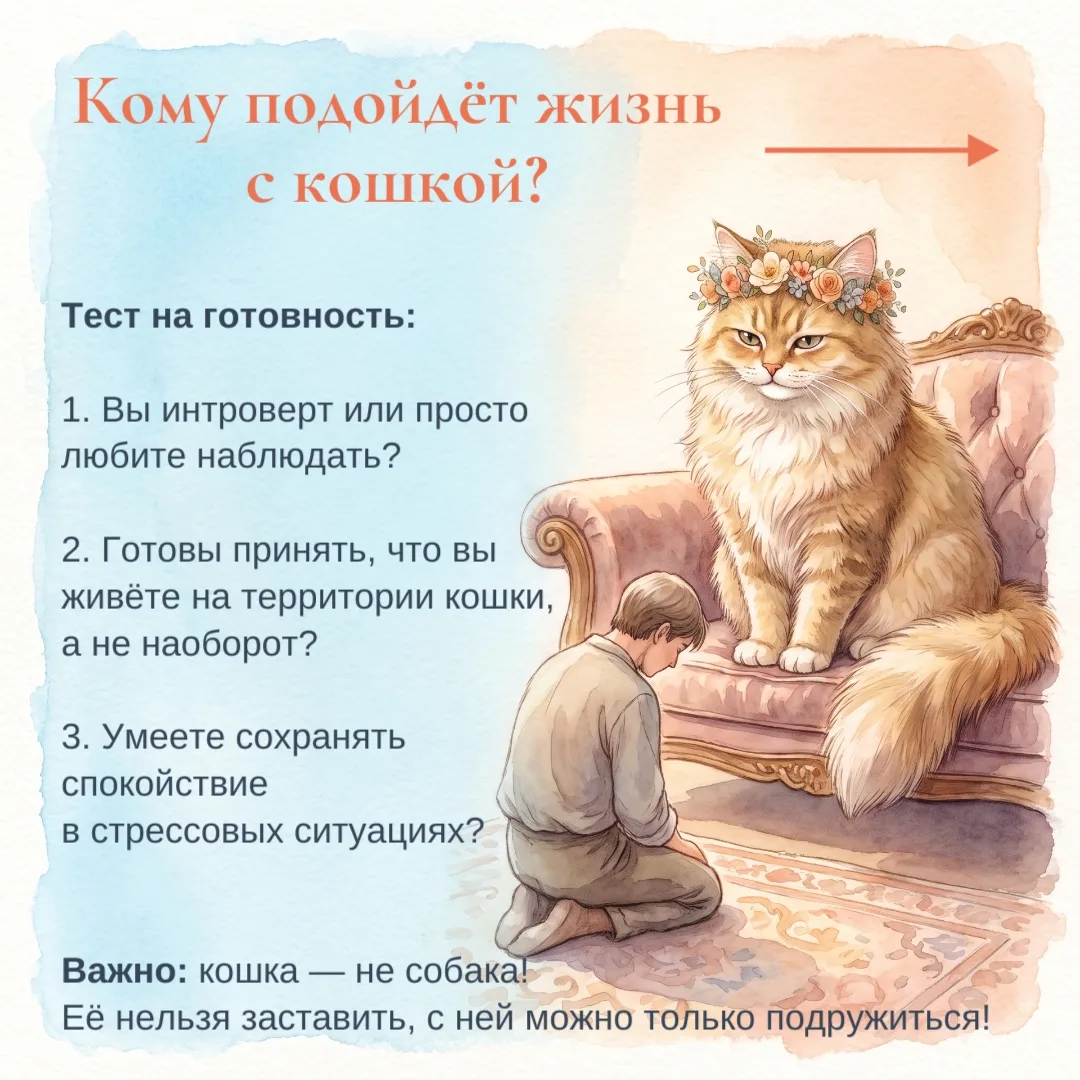Кого завести 🐱 или 🐶 ? Если вы пока перед выбором, почитайте слайды 👉 Немного о том,...