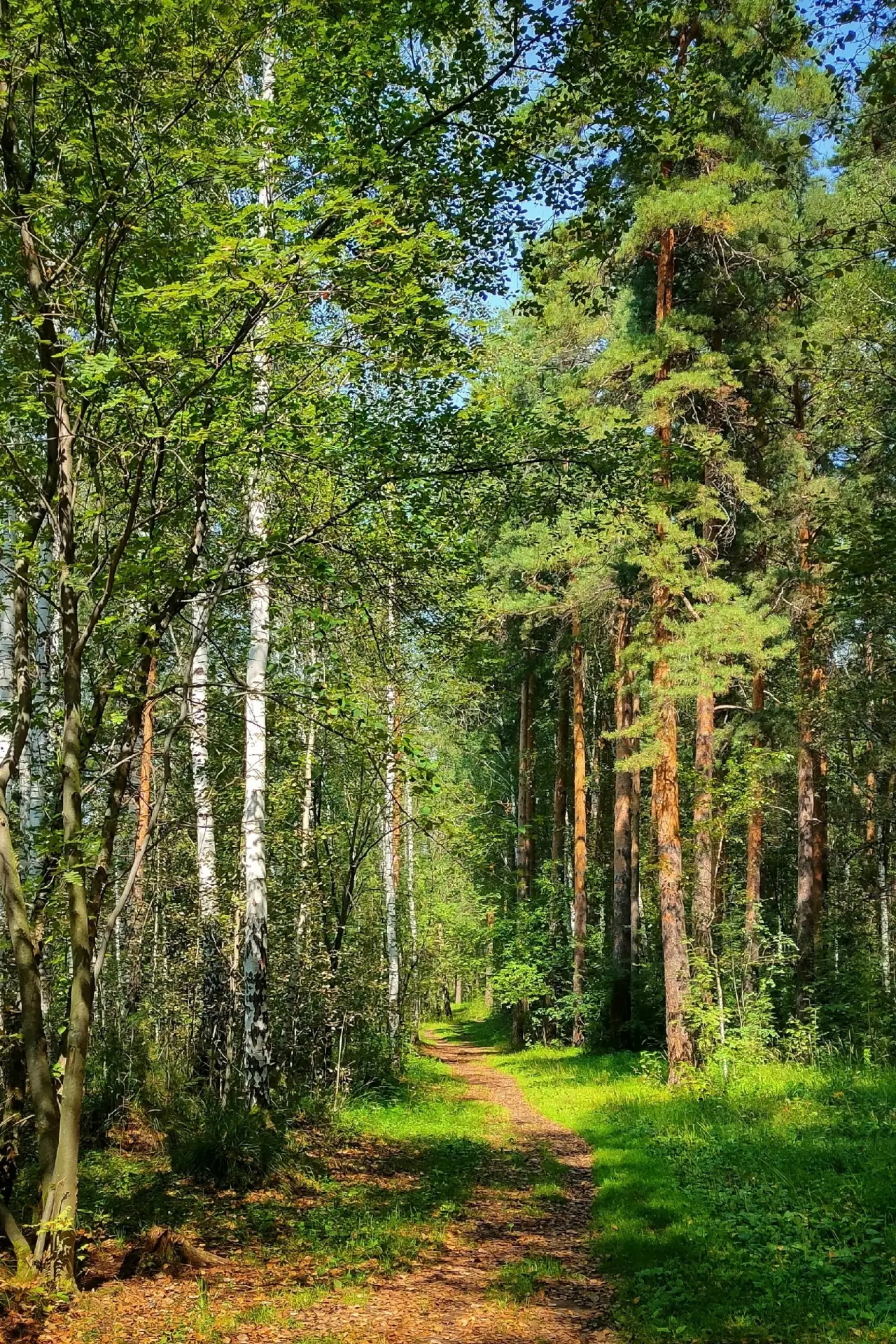 Доброе утро, друзья! 🐍 
Сегодня 28 июля 2026 года, вторник.
Растущая луна. 14 - 15 лунный день (нач