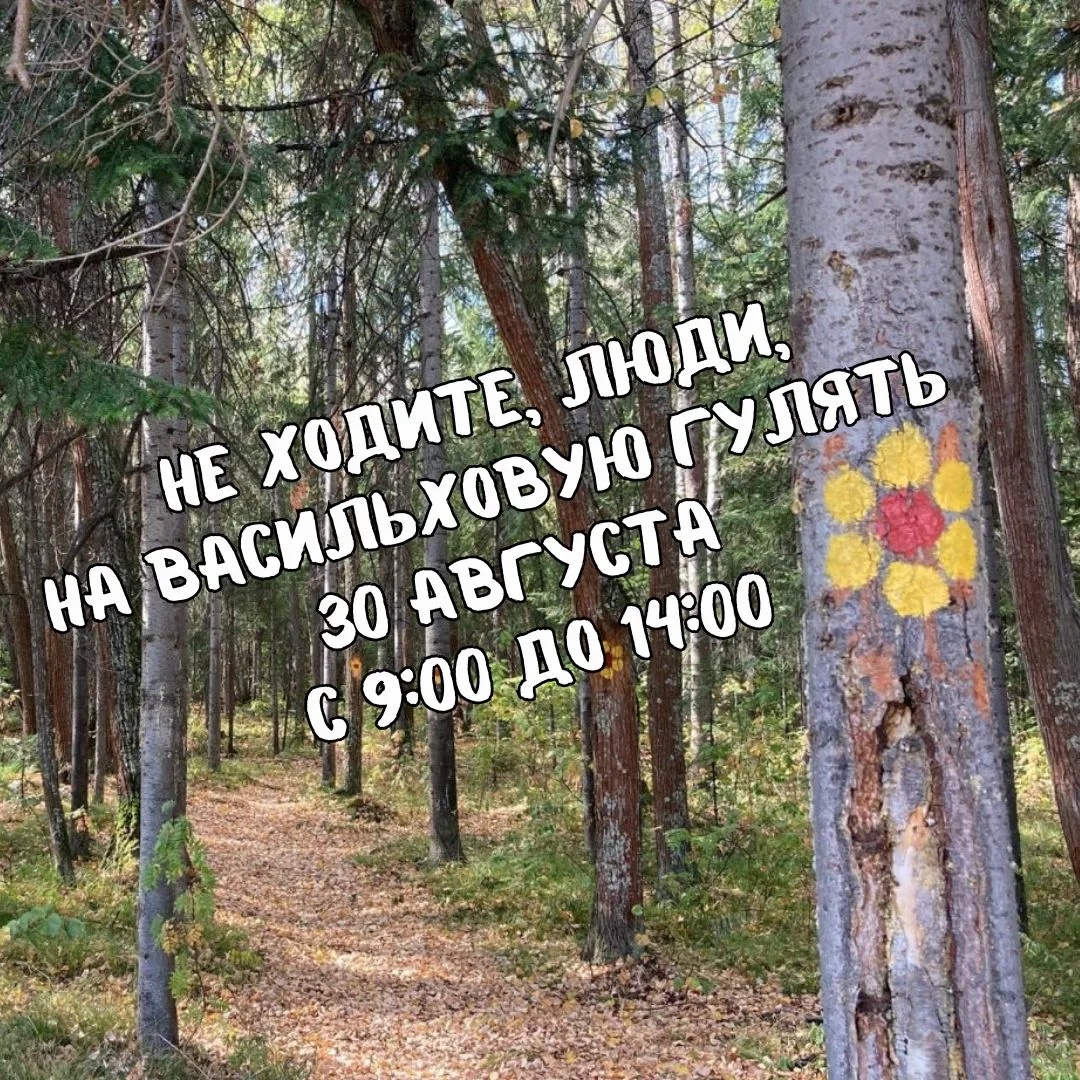 ‼️Важная информация для жителей города!‼️